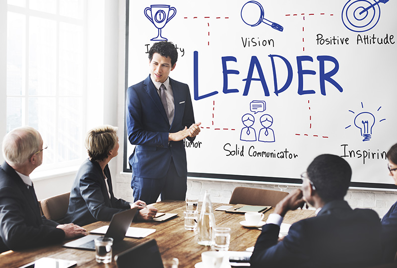 Leadership Coaching & Consulting