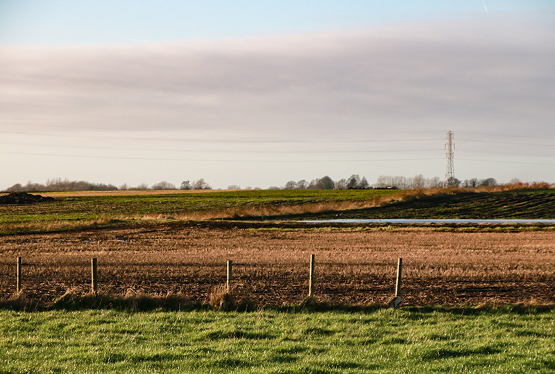 Land Remediation (Tax Claim Advisor)