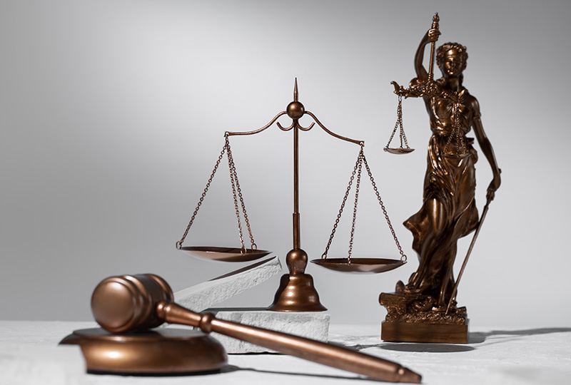 Solicitor & Legal Services